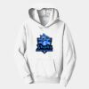 PC Youth Fan Favorite Hooded Sweatshirt Thumbnail