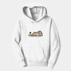 PC Youth Fan Favorite Hooded Sweatshirt Thumbnail