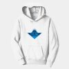 PC Youth Fan Favorite Hooded Sweatshirt Thumbnail