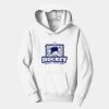 PC Youth Fan Favorite Hooded Sweatshirt Thumbnail