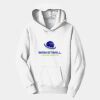 PC Youth Fan Favorite Hooded Sweatshirt Thumbnail