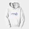 PC Youth Fan Favorite Hooded Sweatshirt Thumbnail