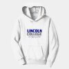 PC Youth Fan Favorite Hooded Sweatshirt Thumbnail