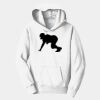 PC Youth Fan Favorite Hooded Sweatshirt Thumbnail
