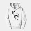 PC Youth Fan Favorite Hooded Sweatshirt Thumbnail