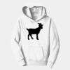 PC Youth Fan Favorite Hooded Sweatshirt Thumbnail