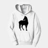 PC Youth Fan Favorite Hooded Sweatshirt Thumbnail