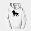 PC Youth Fan Favorite Hooded Sweatshirt Thumbnail