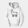 PC Youth Fan Favorite Hooded Sweatshirt Thumbnail