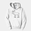 PC Youth Fan Favorite Hooded Sweatshirt Thumbnail