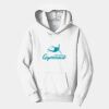 PC Youth Fan Favorite Hooded Sweatshirt Thumbnail