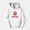 PC Youth Fan Favorite Hooded Sweatshirt Thumbnail