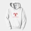 PC Youth Fan Favorite Hooded Sweatshirt Thumbnail
