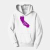 PC Youth Fan Favorite Hooded Sweatshirt Thumbnail