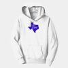 PC Youth Fan Favorite Hooded Sweatshirt Thumbnail