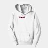PC Youth Fan Favorite Hooded Sweatshirt Thumbnail