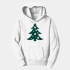 PC Youth Fan Favorite Hooded Sweatshirt Thumbnail